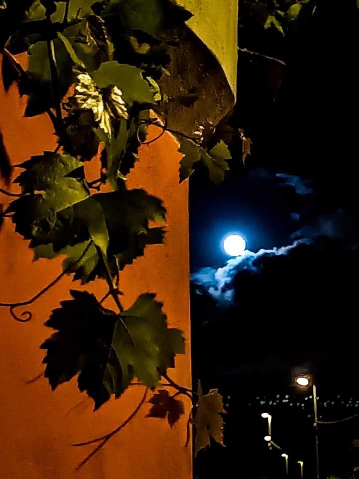 B&B Vigna Grande Agropoli Luaran gambar